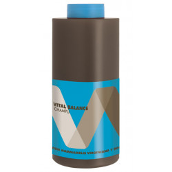 Torroglosa Vital Balance Champú 
